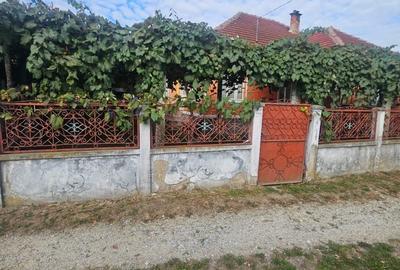 Casă cu 4 camere în Baia de Fier - 4