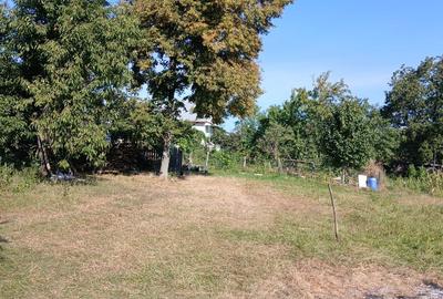 Casa+teren de vanzare in Adancata, Suceava - 12