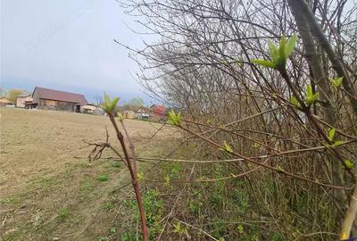 Teren de 1683 mp, în Lunca Calnicului - 4
