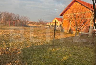Teren intravilan 6,52 arii cu cabana zona Paule?ti - 3