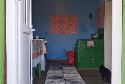 Casă cu 3 camere cu Teren 33400 Mp în Căzănești - 3