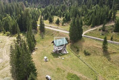 Teren Voronet 4700mp INTRAVILAN | Gura Humorului | Bucovina - 5