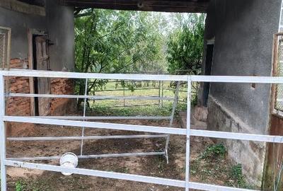 Casă individuală cu 3 camere cu Teren 18000 Mp în Vârfurile - 7