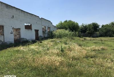Teren de 8160 mp, în Rădoiești - 2