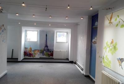 Casă cu 12 camere cu Canalizare în Ștefan cel Mare - 3