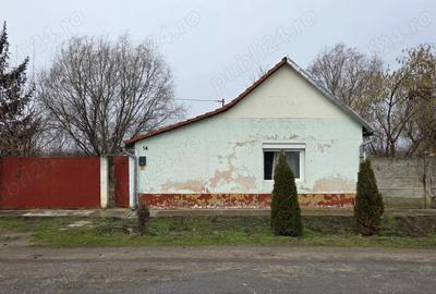 Casă cu 2 camere în Central - 5