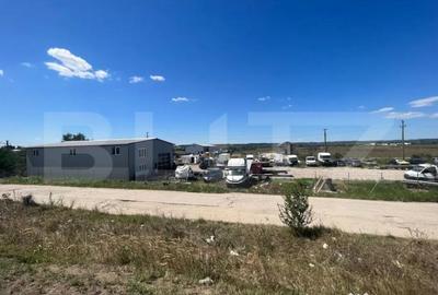 Teren de 5000 mp, în Ișalnița - 4