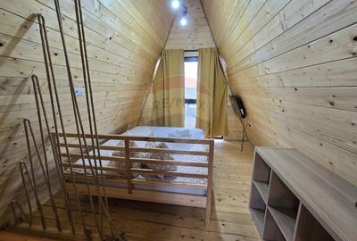 Proprietate Speciala in Gura Raului, Sibiu - Doua Cabane A-Frame - 12
