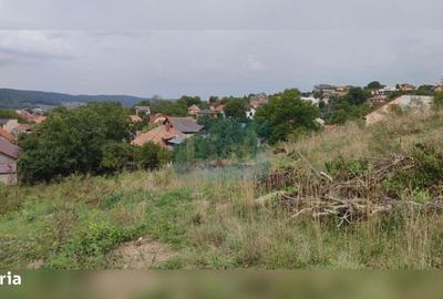 Spațiu comercial, în Dâmbul Rotund