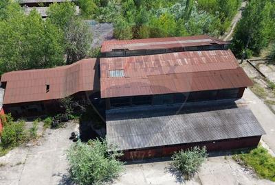 Spațiu industrial, de 12,000 mp, în Periferie - 33