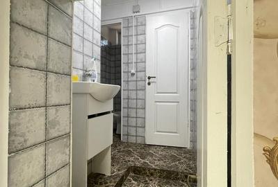 Casa individuala Brancoveanu- Nitu Vasile-INVESTITIE - 19