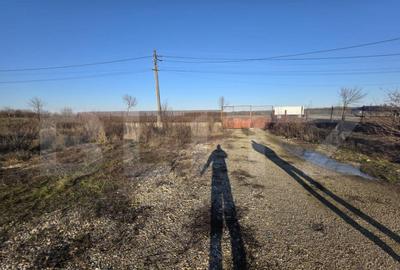 Teren 2.500 mp, front 23 ml, trifazic Coste?ti din Deal - 4