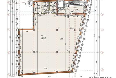Imobil versatil cu functiuni mixte zona P-ta Mihai Viteazul - 28