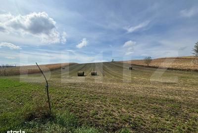 Spațiu comercial, în Paltin