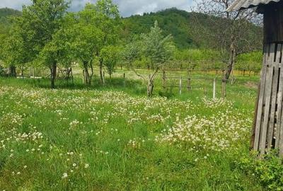 Casă cu 4 camere în Berbești - 14