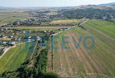 Teren de 7366 mp, în Sărata - 3