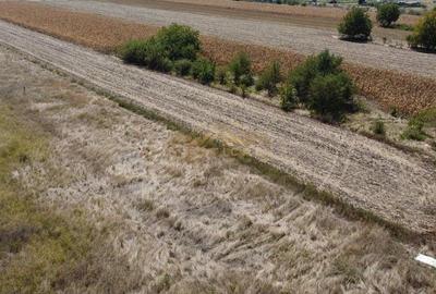 Teren intravilan in RATE la intrare in comuna Berceni Teren intravilan in RATE la intrare in comuna Berceni - 5