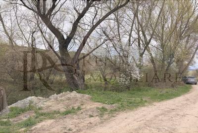 Casă individuală cu 2 camere cu Canalizare în Făureni - 33