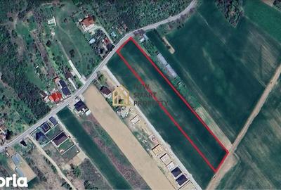 Teren de 8632 mp, în Podgoria - 3