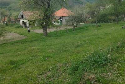 Casă cu 3 camere în Vălișoara - 9