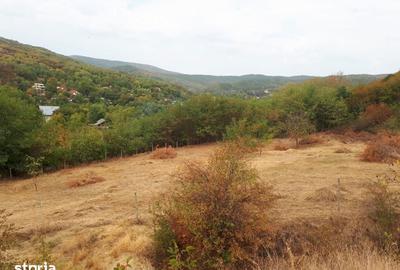 Teren de 2200 mp, în Poșta Câlnău - 7