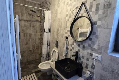 Aroneanu - Casa individuala 4 camere - 14