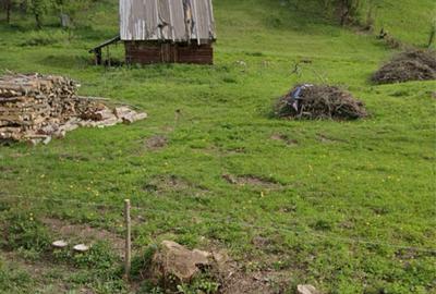 Spațiu comercial, în Poiana Vadului - 1