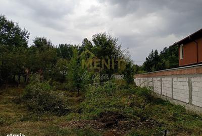 Spațiu comercial, în Tufeni - 1