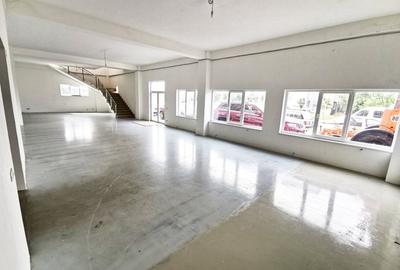 Spațiu industrial, de 500 mp, în Torontalului - 6