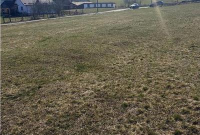 Teren intravilan de 2570 mp, în Săliștea Nouă - 3