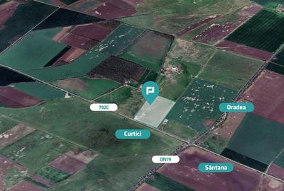 Teren de 105700 mp, în Șimand - 3