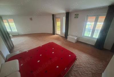 Vila 5 camere in Padurea Snagov, Silistea Snagovului - 2