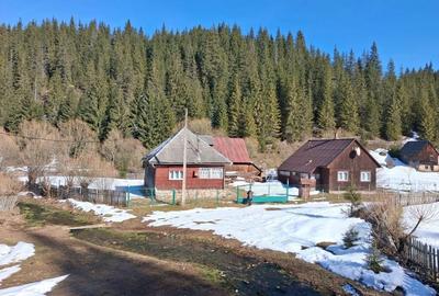 Spațiu comercial, în Poiana Horea - 5