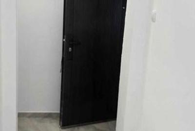 Alexandru - Miron Costin, 2 camere renovat, liber - 4
