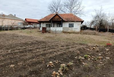 Casă cu 3 camere cu Teren 2394 Mp în Fărcășești - 2