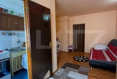 Garsonieră în Lotrului - 3
