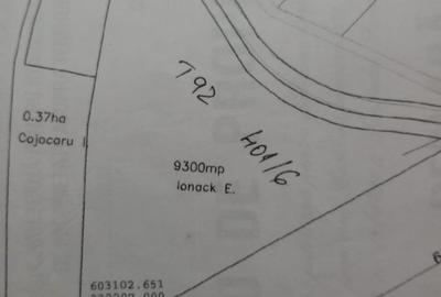 Teren de 9300 mp, în Cozieni - 1