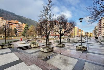 Spatiu cu destinatii multiple | Complet renovat - 2