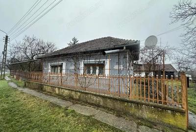Casă cu 3 camere cu Teren 4191 Mp în Cig - 6