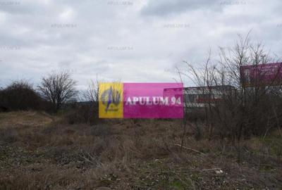 Teren cu potential comercial, bun pentru Showroom. - 16