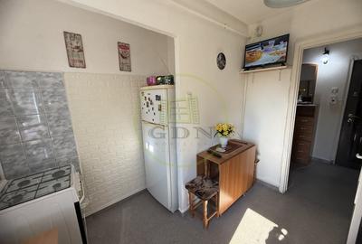 Apartament cu 2 camere semidecomandat, mobilat în Brazda lui Novac - 6