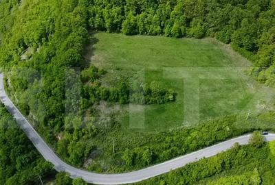 Teren de 13860 mp, în Central - 4