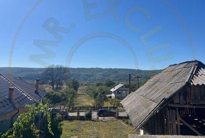 Teren 1128 intravilan constructii Darmanesti Arges - 2