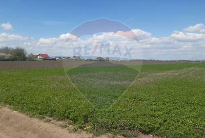 Teren Construcții intravilan de 5460 mp, în Stupini - 9