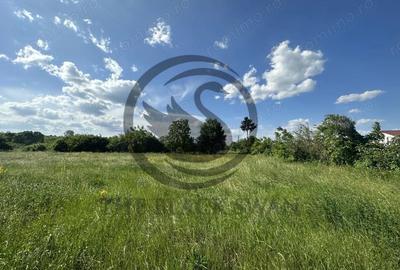 Teren de 11000 mp, în Ghirdoveni - 3