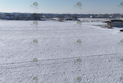 Teren 9360 mp de vânzare în Berceni, Ilfov – Ideal pentru dezvoltare PUZ - 5