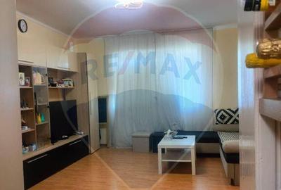 Casă cu 2 camere cu Teren 2008 Mp în Retiș - 11