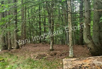 Teren de vanzare in apropiere de Transfagara?an ?i Valea Valsanului. - 1