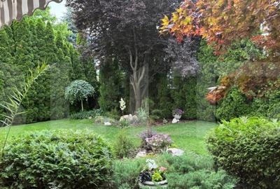 Casa moderna cu gradina superba Cartier Alfa Land - 13