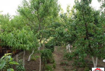 Casă cu 6 camere cu Teren 2110 Mp în Lazuri - 11